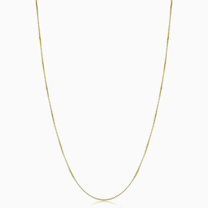 Exquisite Gold Fine Chain Necklace