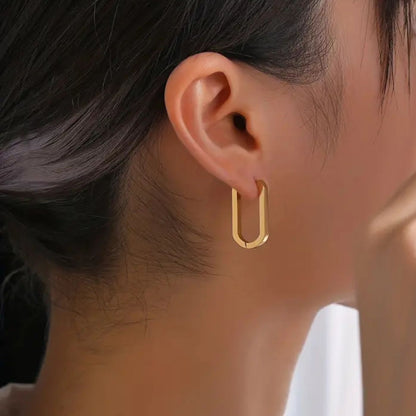 Exquisite Golden Geometric Hoop Earrings