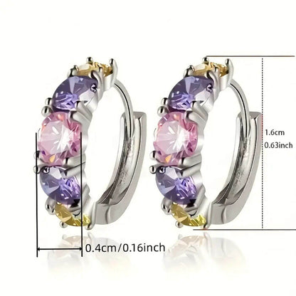 Exquisite Violet Pink Crystal Hoop Earrings